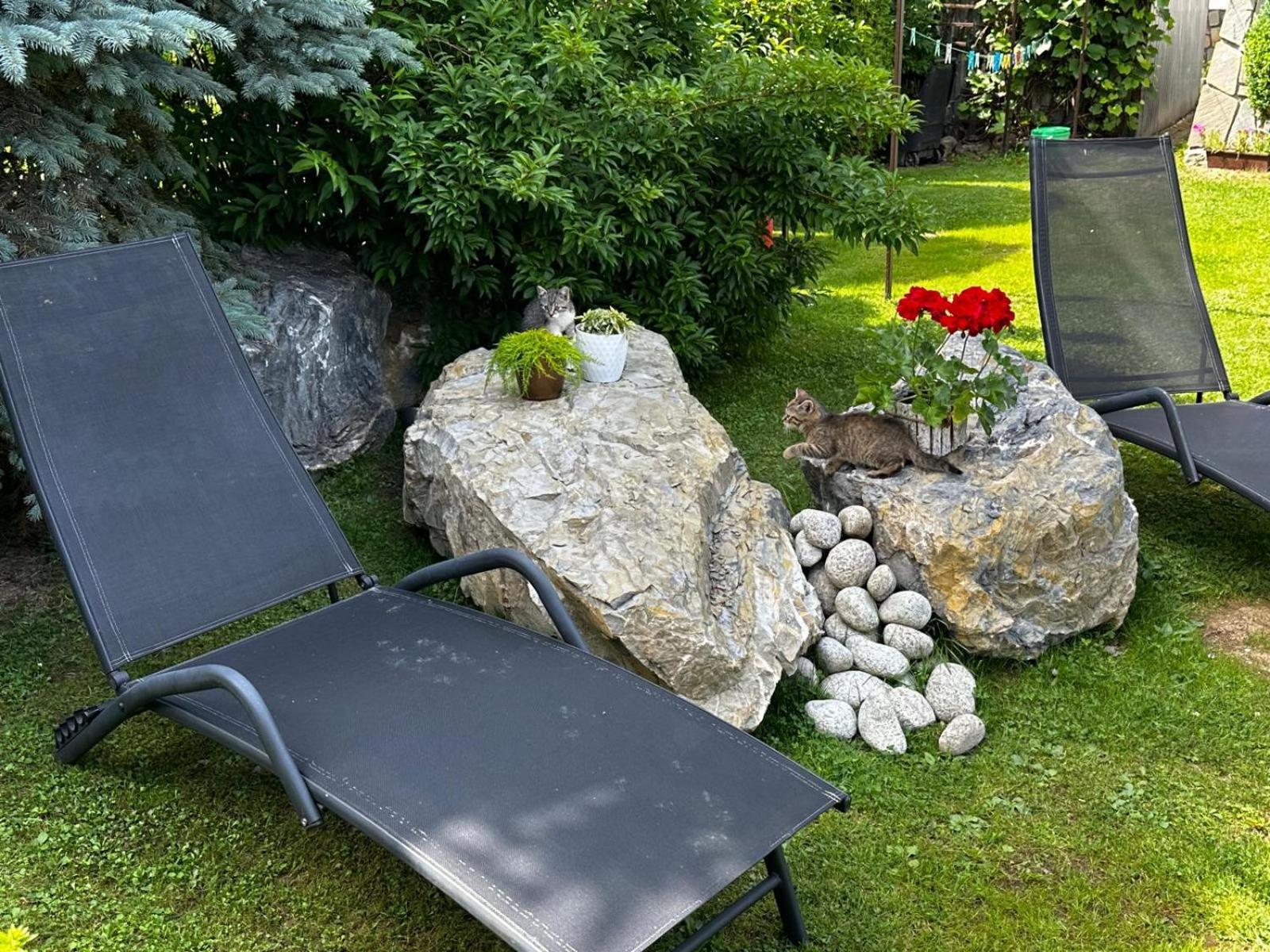 Dw Basia Pokoje I Apartament Białka Tatrzańska Exteriér fotografie