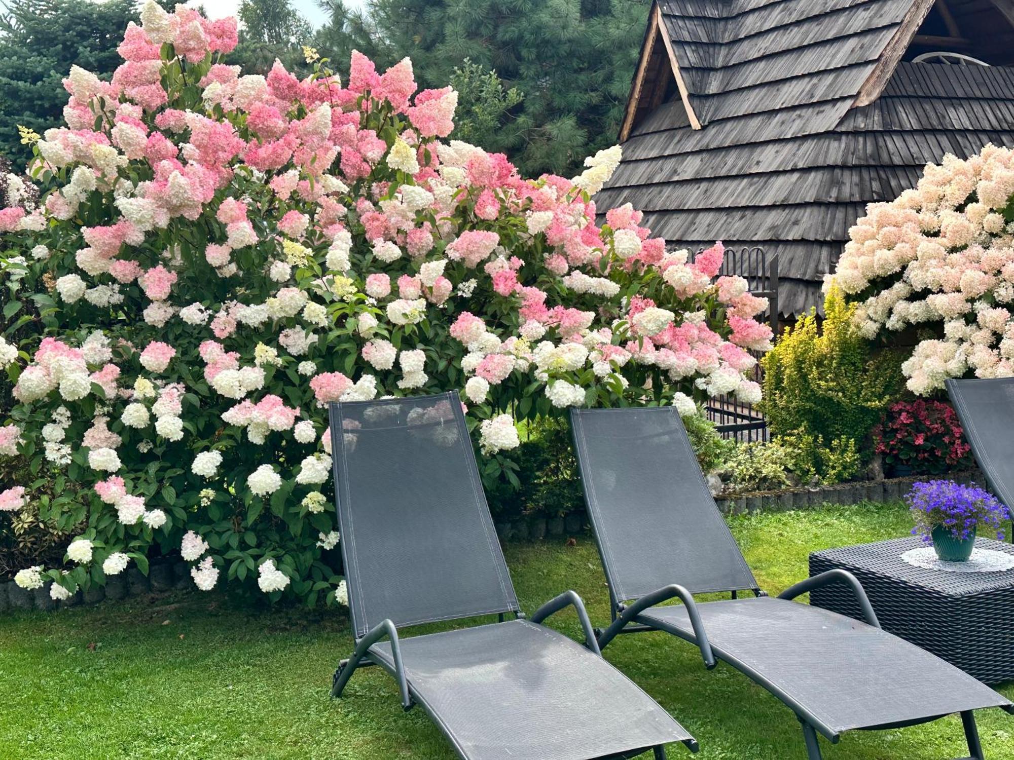 Dw Basia Pokoje I Apartament Białka Tatrzańska Exteriér fotografie